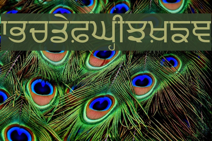 punjabi font download